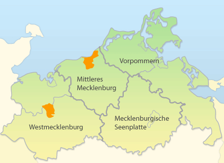 Karte der vier Staatlichen Ämter für Landwirtschaft und Umwelt M-V
